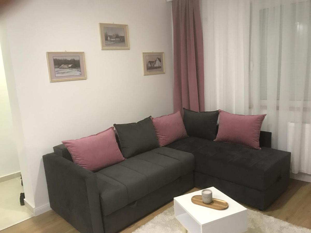 Apartman Kristina Free Parking Novi Sad Exteriér fotografie