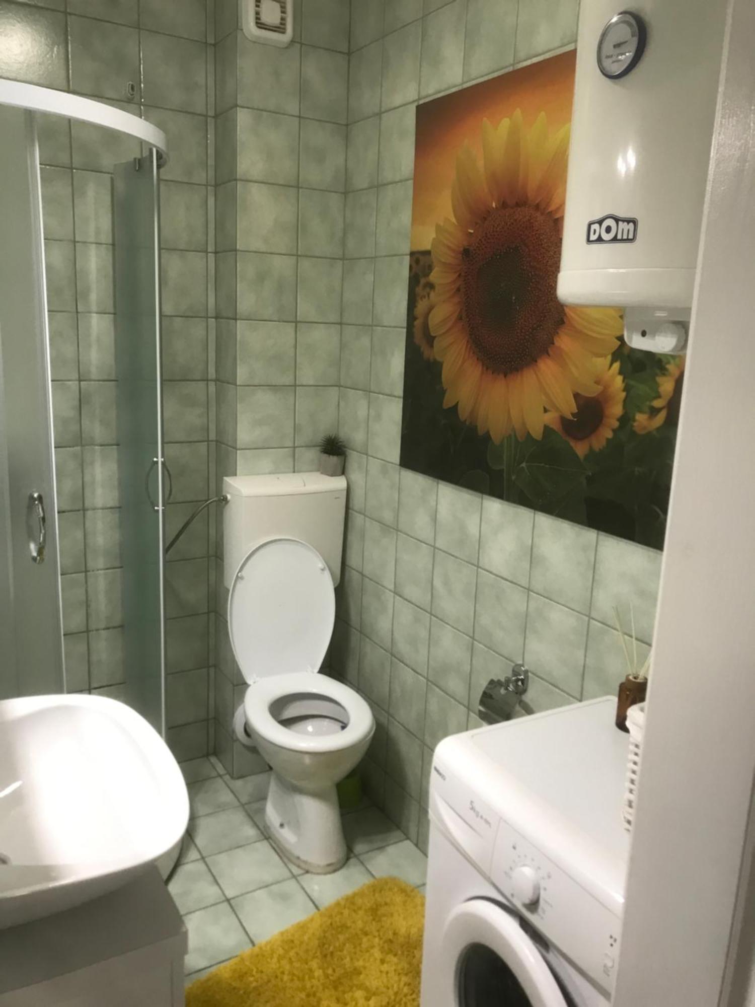 Apartman Kristina Free Parking Novi Sad Exteriér fotografie